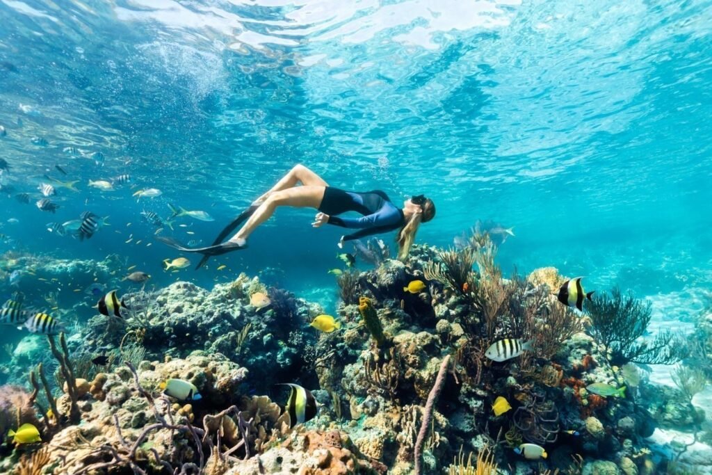 Snorkeling